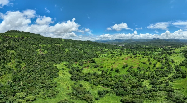 Exterior view of NeoLiv Khopoli Plots in Mumbai